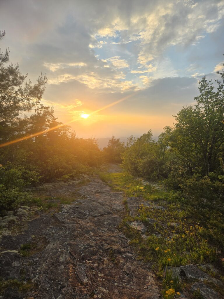 sage sanctuary beauty spot