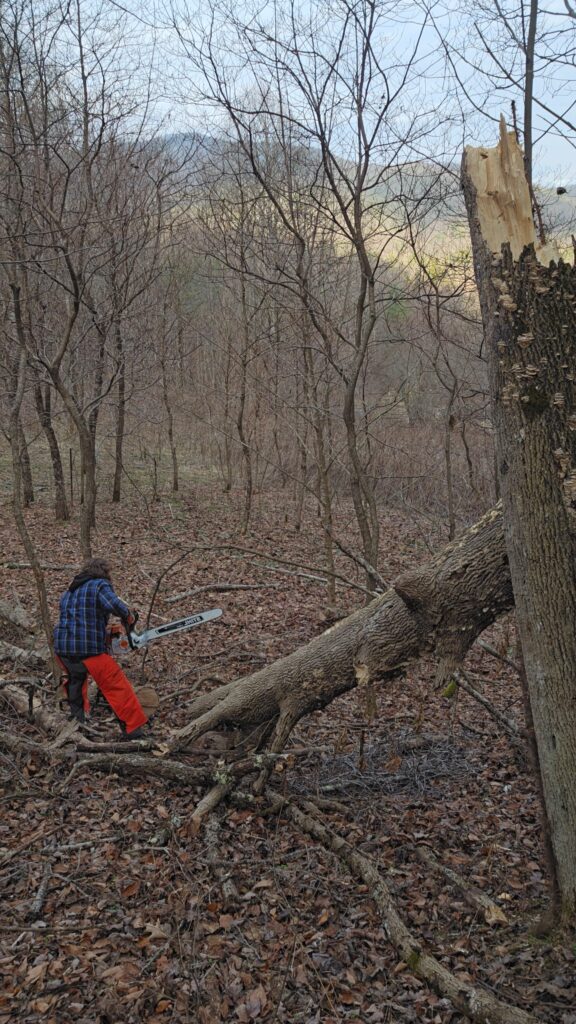 sage sanctuary jeff clearing land